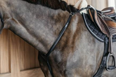 Dy'on New English Collection Plaited Bridge Breastplate